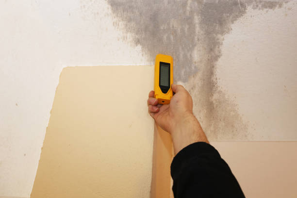 Mold Removal for HVAC Installations in Hiram, GA