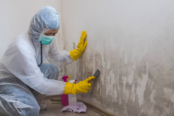 Mold Remediation for Rental Properties in Hiram, GA