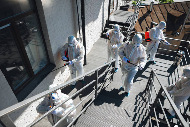 Best Real Estate Mold Inspection  in Hiram, GA