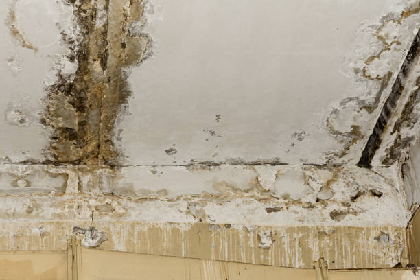Best Mold Removal for HVAC Installations  in Hiram, GA