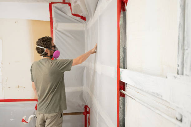 Asbestos and Lead Testing During Mold Inspection in Hiram, GA