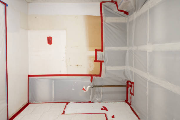 Best Mold-Related Health Consultation  in Hiram, GA