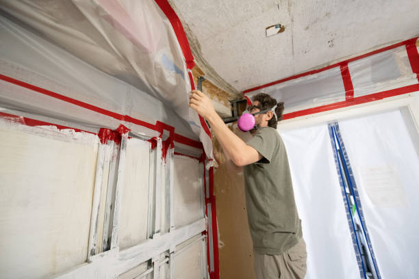 Professional Mold Removal in Hiram, GA