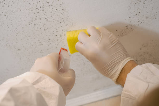 Best HVAC Mold Inspection and Cleaning  in Hiram, GA