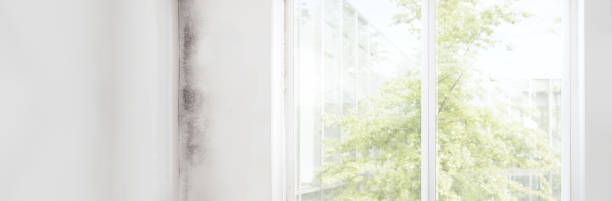 Dehumidification Services in Hiram, GA