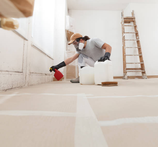 Best Air Quality Testing for Mold Spores  in Hiram, GA